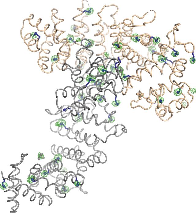 [Figure 5]