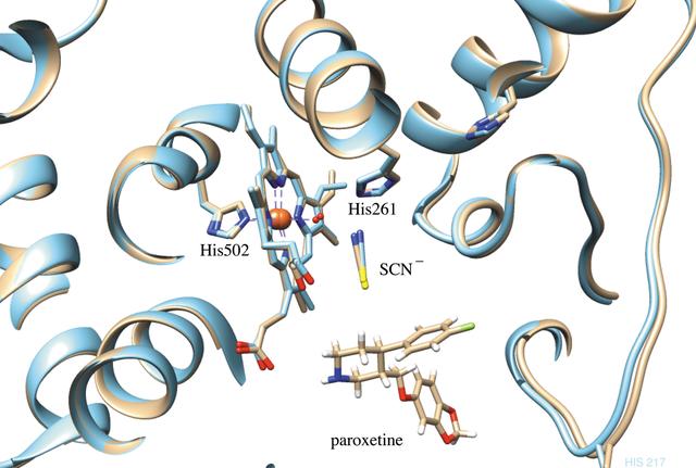 [Figure 3]