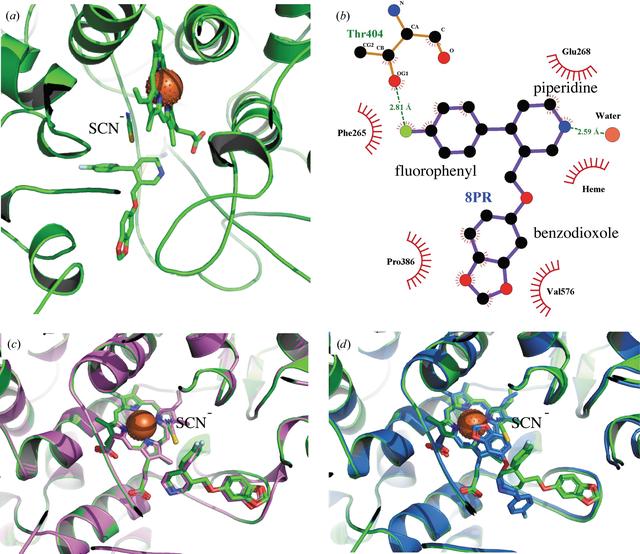 [Figure 4]