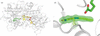 [Figure 1]
