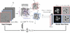 [Figure 1]