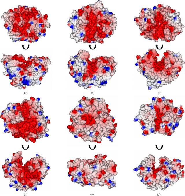 [Figure 6]