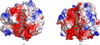 [Figure 8]