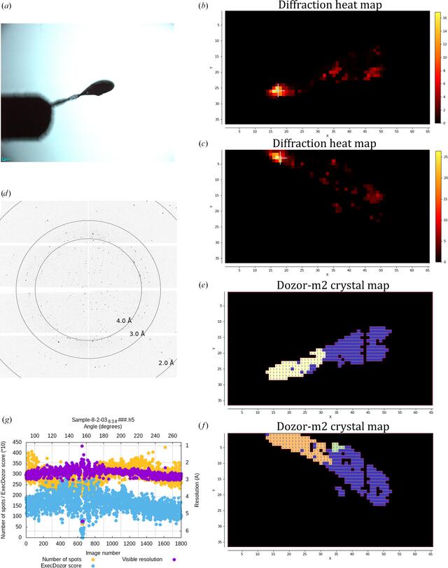 [Figure 6]