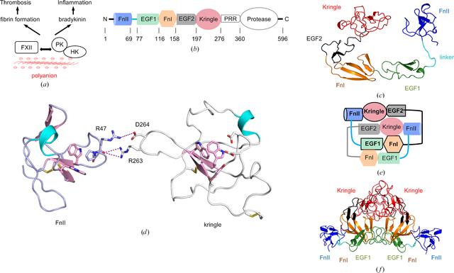[Figure 1]