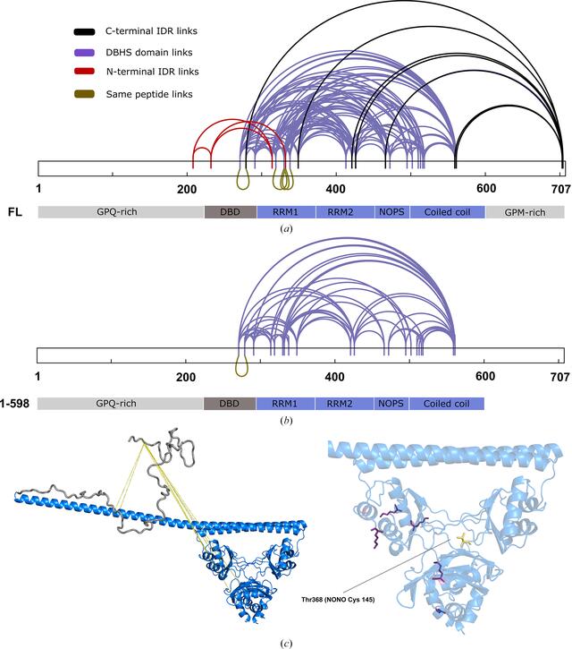 [Figure 6]