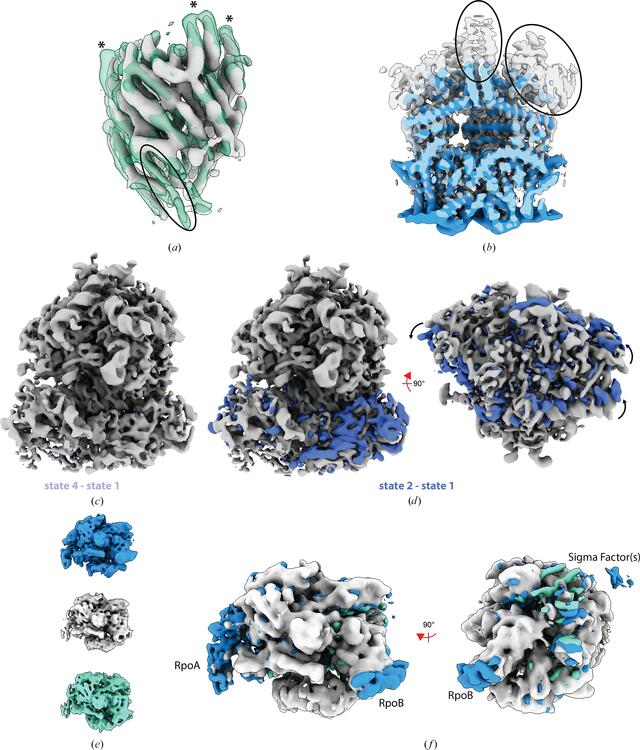 [Figure 5]