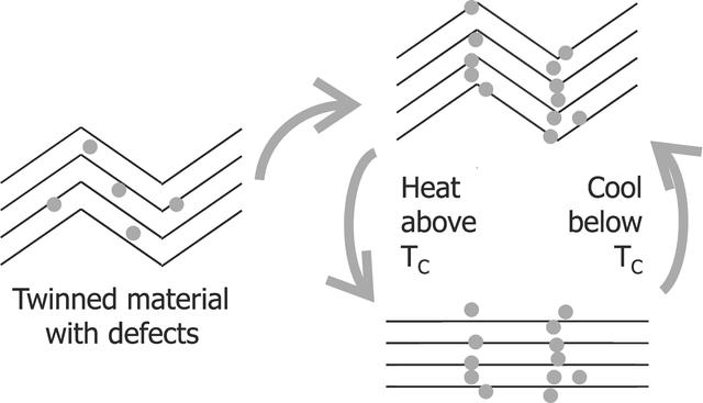 [Figure 5]