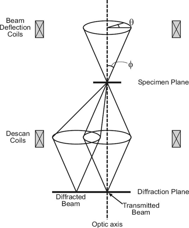 [Figure 1]