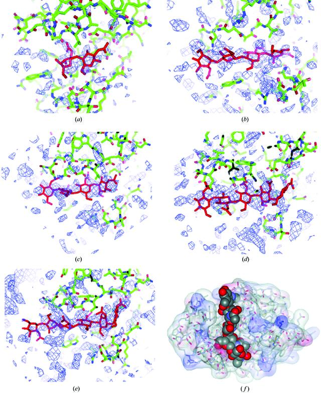 [Figure 4]