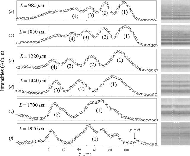 [Figure 5]