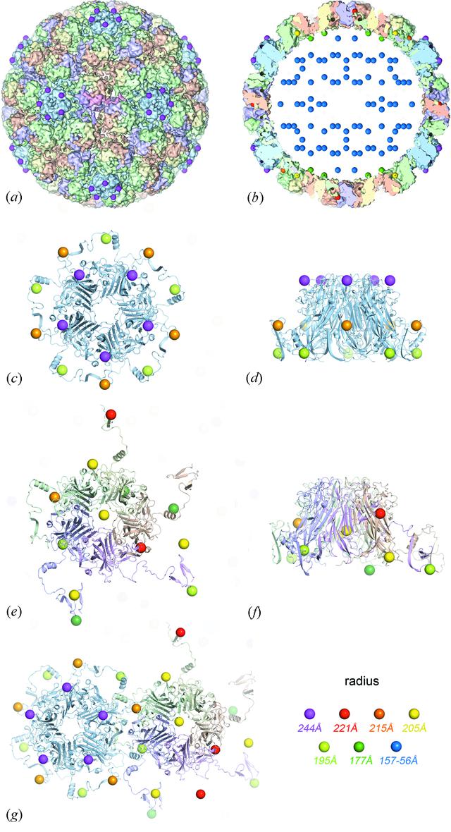[Figure 6]