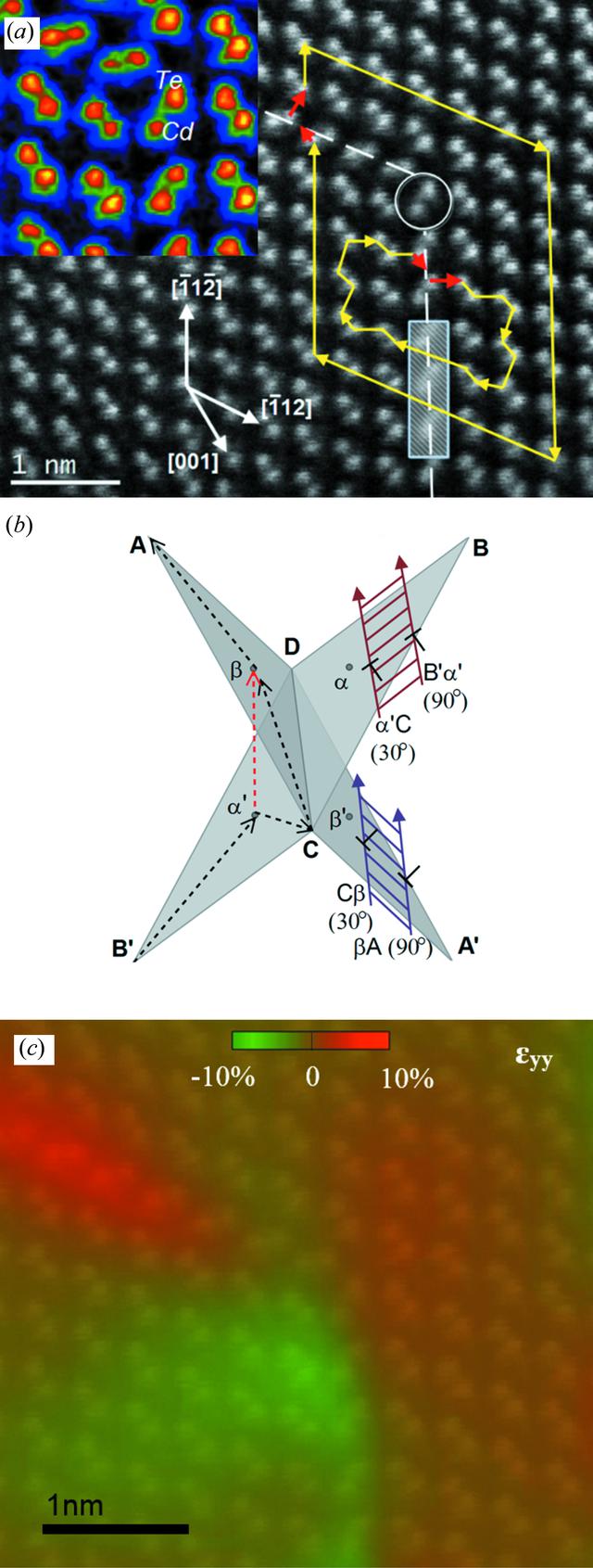 [Figure 4]