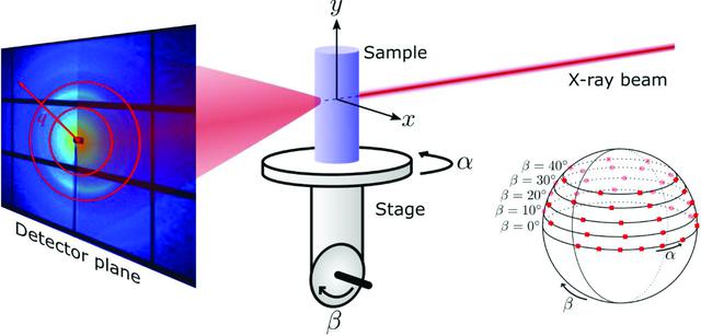 [Figure 1]