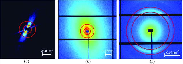 [Figure 2]