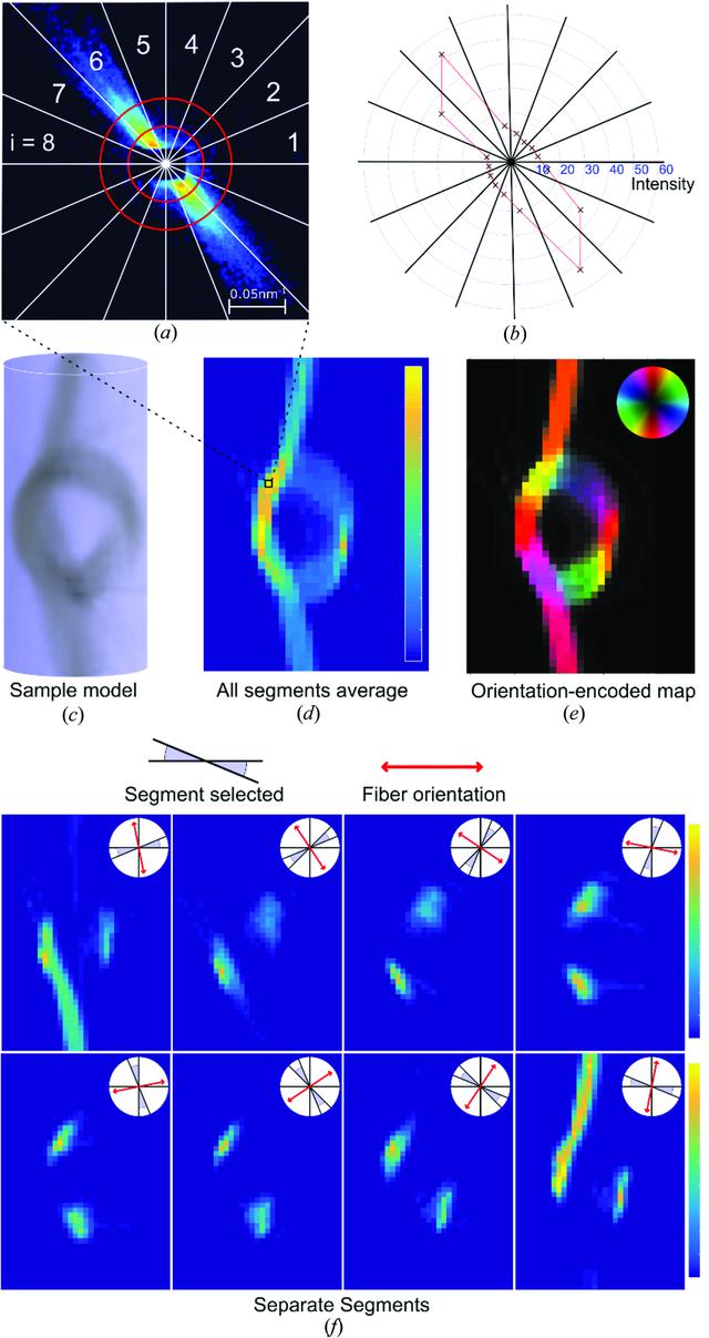 [Figure 4]