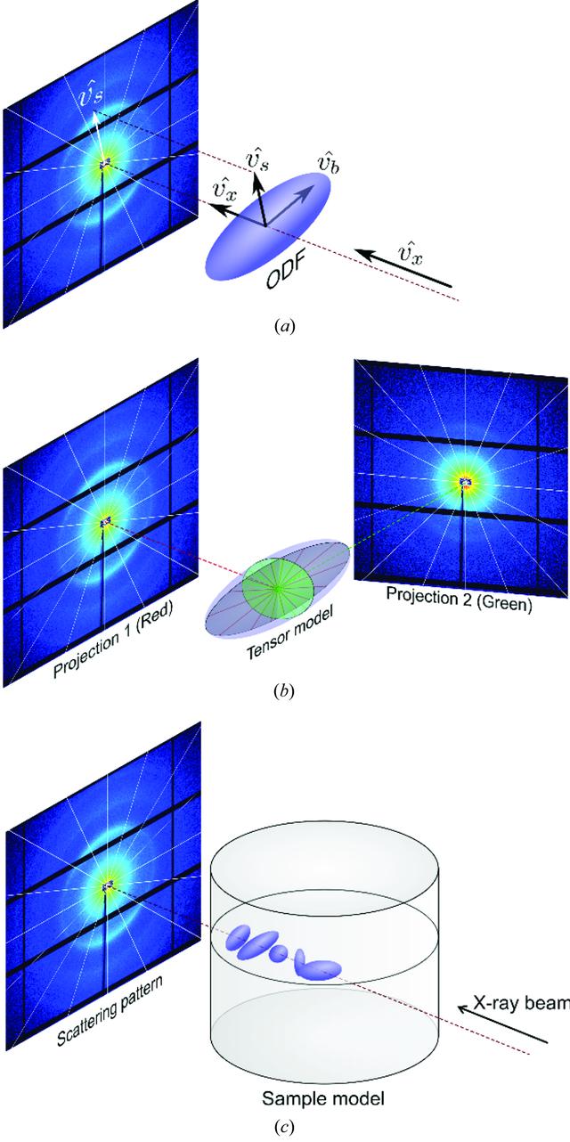 [Figure 5]