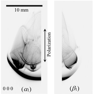 (IUCr) Experimentally obtained and computer-simulated X-ray asymmetric ...