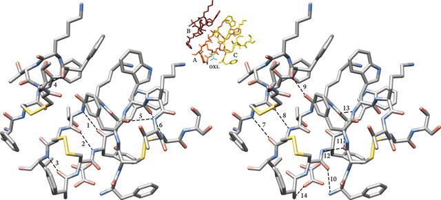 [Figure 4]