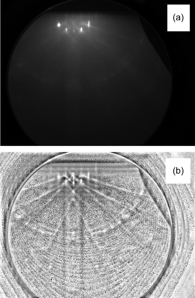 [Figure 1]