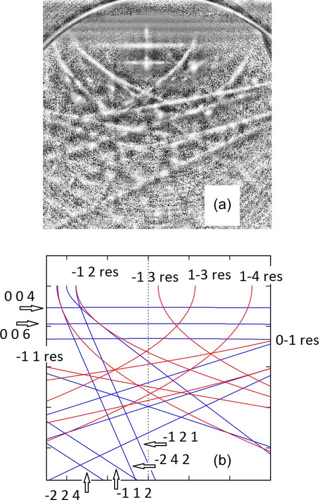 [Figure 4]