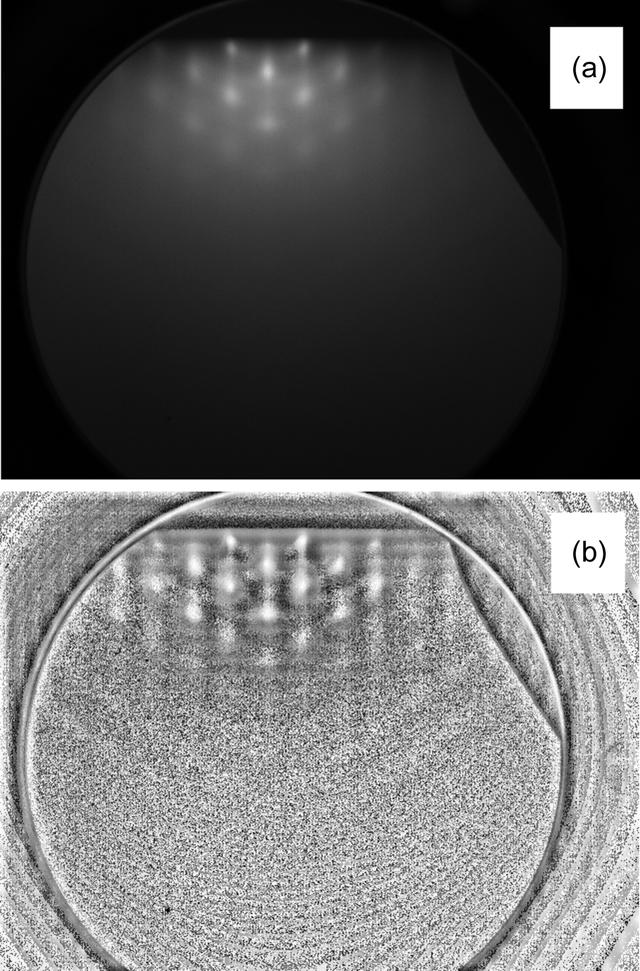 [Figure 5]