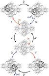 [Figure 18]