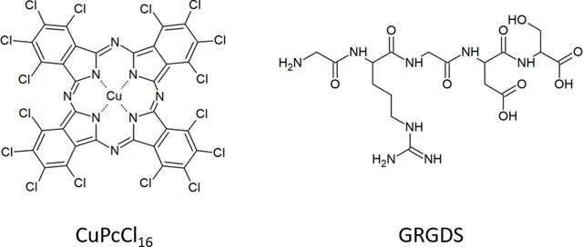 [Figure 1]