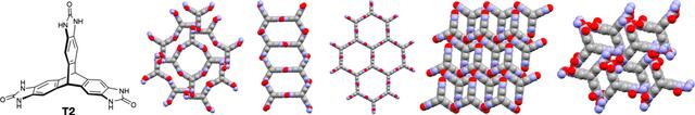 [Figure 6]
