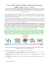 link to html