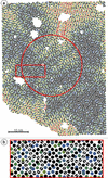 [Figure 3]
