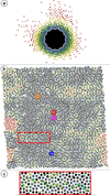 [Figure 5]