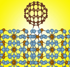 Highlighted illustration