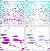 [Figure 19]