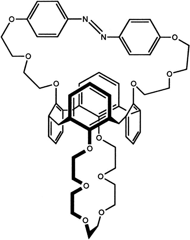 [Figure 1]