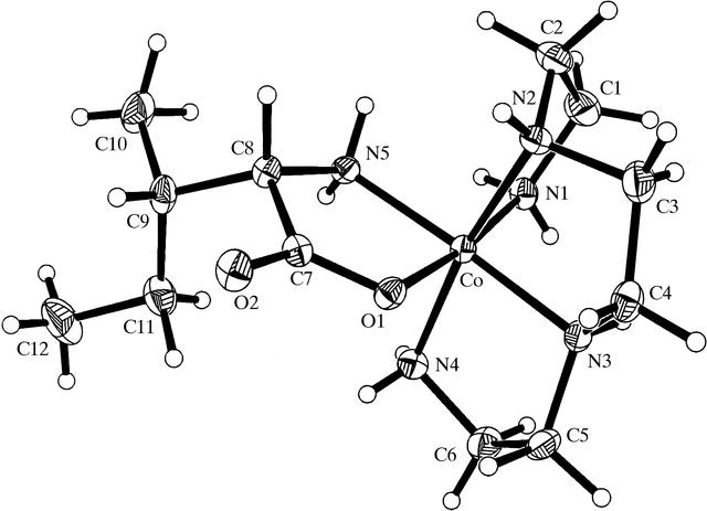 [Figure 4]