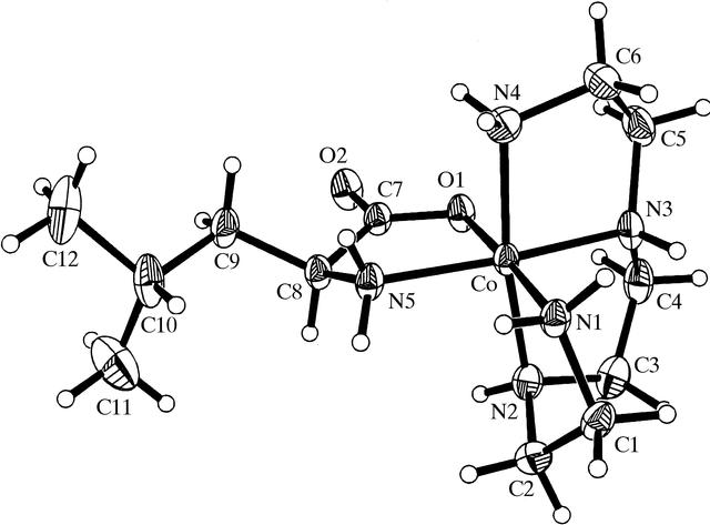 [Figure 6]