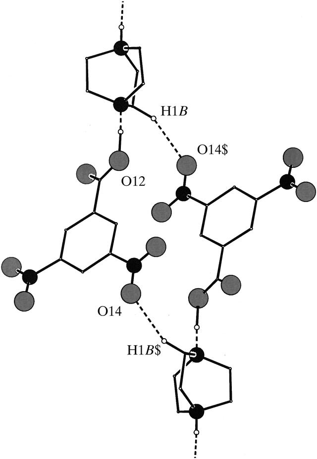 [Figure 13]