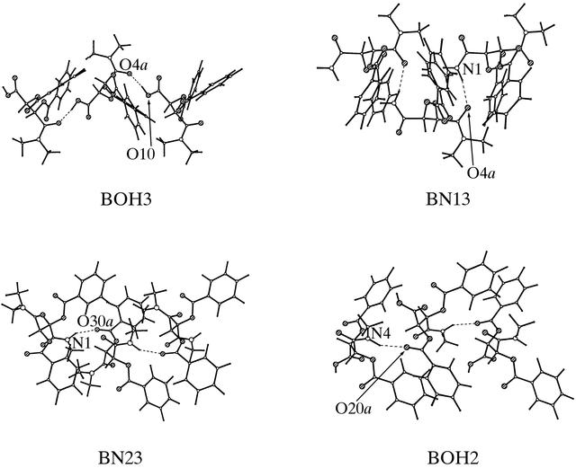 [Figure 5]