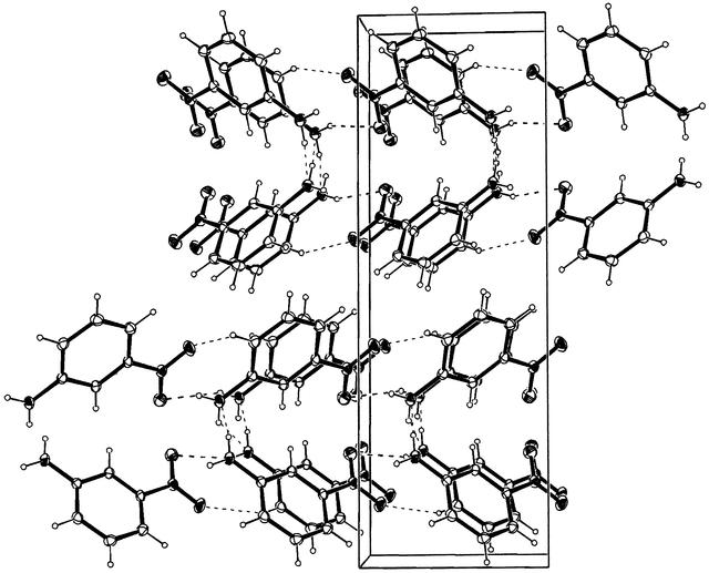 [Figure 1]