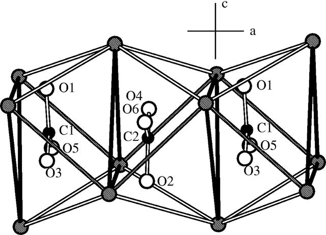 [Figure 7]