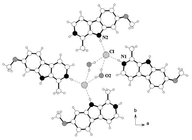 [Figure 8]