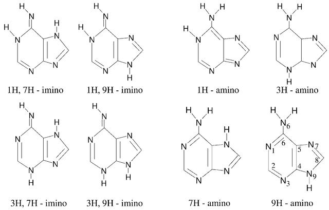 [Figure 7]