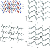 [Figure 5]