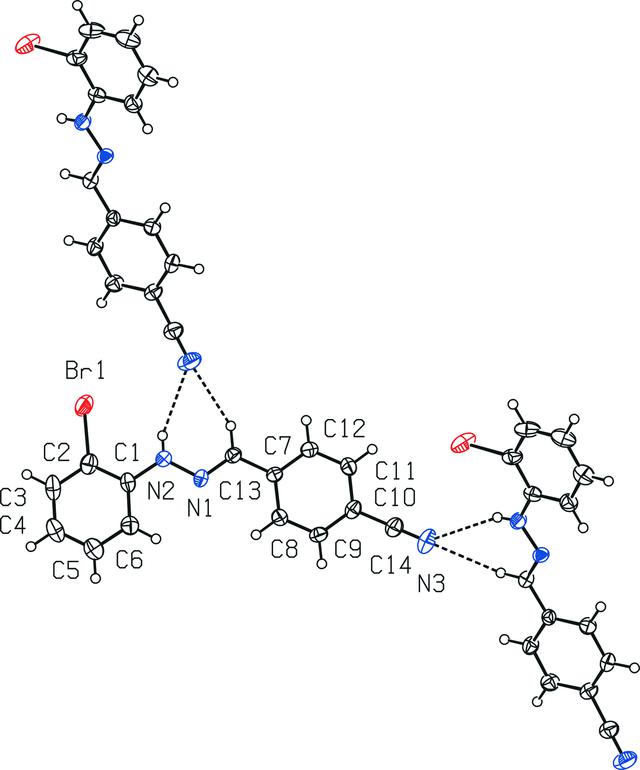 [Figure 8]