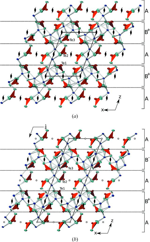 [Figure 5]