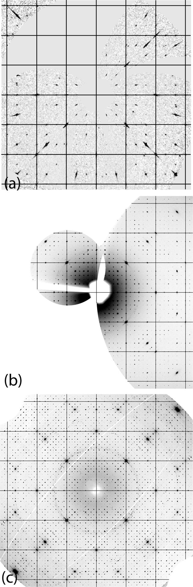 [Figure 1]