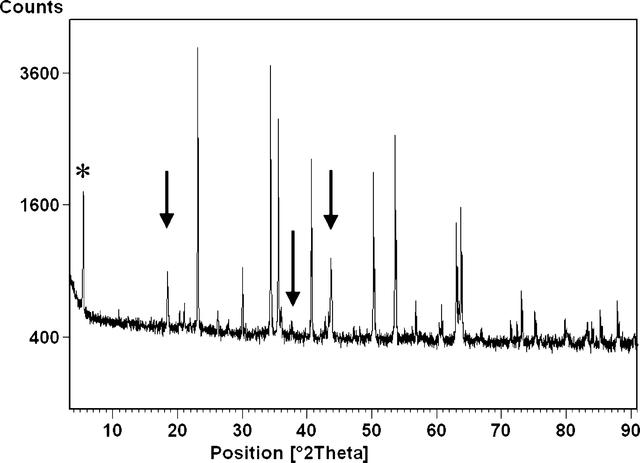 [Figure 1]