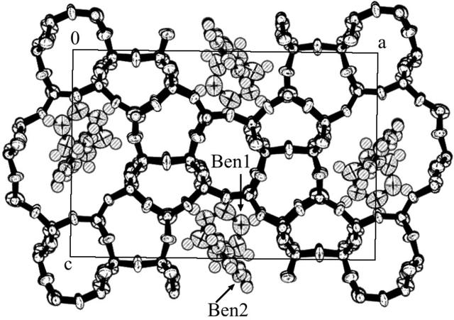 [Figure 8]