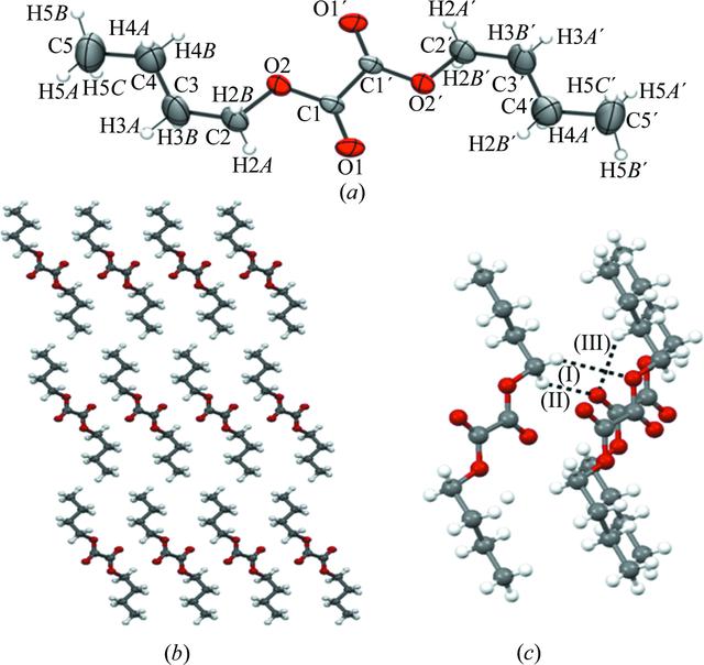 [Figure 4]